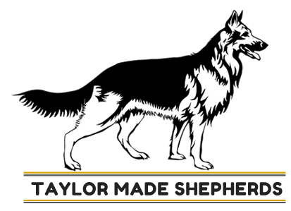 Taylor Made Shepherds