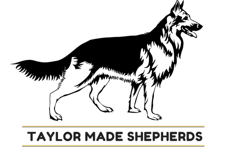 Taylor Made Shepherds